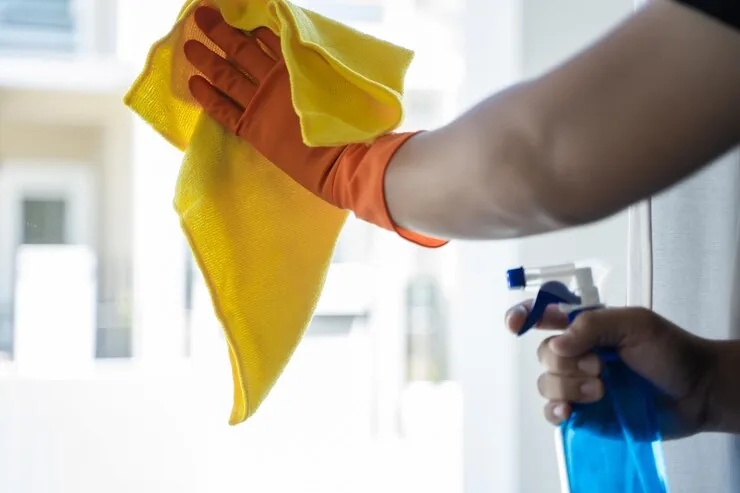 Domestic Cleaning / Maid Services breadcrumb background