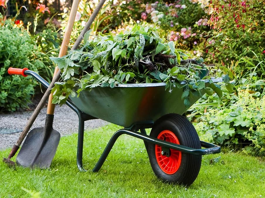 Garden Services service image